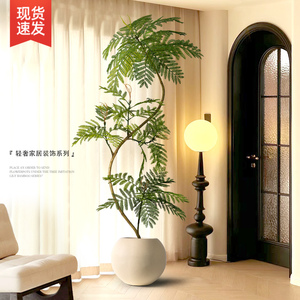 仿真绿植蓝花楹室内盆栽大型仿生植物假树高端轻奢客厅装饰品摆件