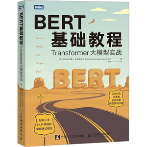 BERT基础教程 Transformer大模型实战 自然语言处理模式实战 chatgpt人工智能聊天机器人学习深度学习计算机NLP书籍