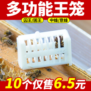 蜜蜂王笼囚王笼多功能中蜂意蜂扣王笼塑料储王器介王养蜂专用工具