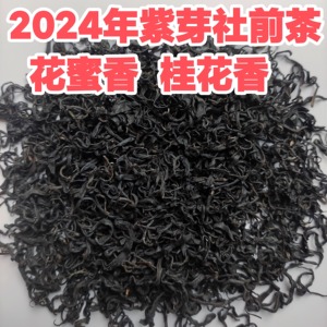 六堡茶2024年原种树紫芽社前农家六堡茶传统工艺生茶花蜜香桂花香