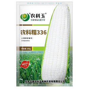 农科糯336玉米种子甜糯玉米种籽农科玉368玉米种孑白色水果玉米籽