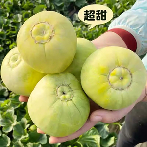 日本甜宝甜瓜种籽绿宝石甜瓜种子羊角蜜种孑香瓜西瓜苗秧春天种植