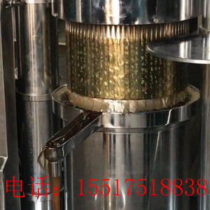 色拉油加工设备 全自动多功能液压精炼设备 多功能螺旋榨油机