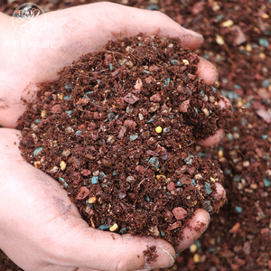 50%颗粒配方土小苗土叶插土播种土多肉植物透气好扎根丹麦泥炭土