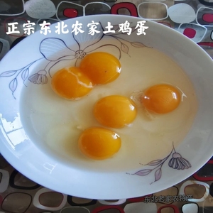 东北农家土鸡蛋溜达散养鸡蛋粮食月子鸡蛋