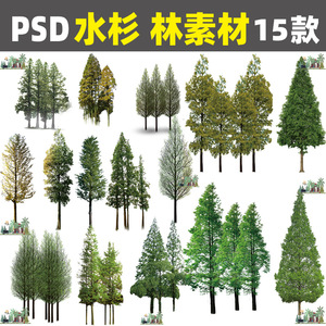 Z162园林景观水边湿地植物水杉林PS立面效果图后期PSD分层素材