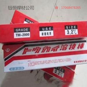 日本东海溶业焊条TM-2000/TM-11Cr/THW-1/TF-5GMA-1G模具氩弧焊丝