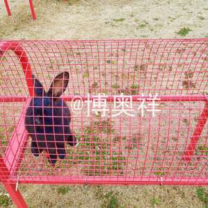 兔子跑道 粉色户外金属兔子笼子 农场小景点 安装方便 萌宠展示