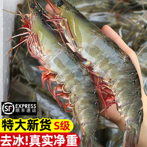 厄瓜多尔大虾2030桑塔鲜活速冻超大基围虾海虾青虾对虾海鲜水产