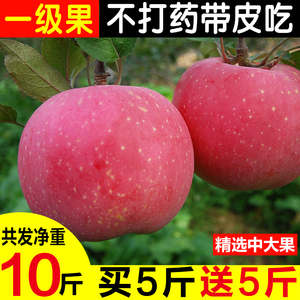 晋味来壶口苹果水果新鲜当季整箱10斤装应季山西吉县一级红富士丑