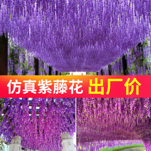仿真紫藤假花藤条缠绕吊顶客厅室内婚庆装饰塑料花串藤蔓植物藤条