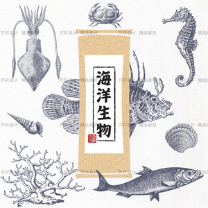 矢量海洋生物复古黑白线稿素材手绘鱼类螺贝壳珊瑚素描插画PNG