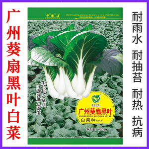 广州白菜葵扇种耐黑叶热耐雨水高产小白菜种孑四季菜种籽蔬菜种子