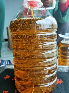 农家野生山茶油88一斤
