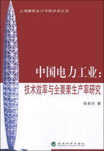 现货【包邮】上海国家会计学院学术丛书：中国电力工业:技术效率
