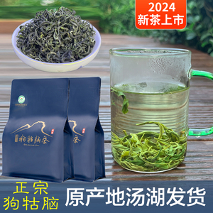 2024新茶江西遂川狗牯脑茶炒青绿茶高山特级自已喝栗香口粮工作茶