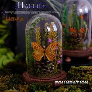 蝴蝶标本装饰摆件蝴蝶玻璃罩微景观生态动植物干花主题摆件样板间