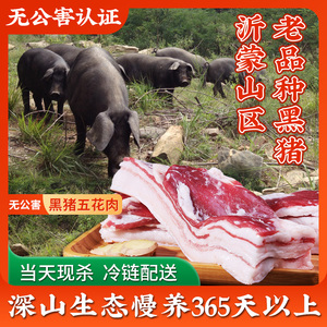 蒙山新鲜土猪肉黑猪肉瘦肉农家生态散养新鲜现杀五花肉 1000g