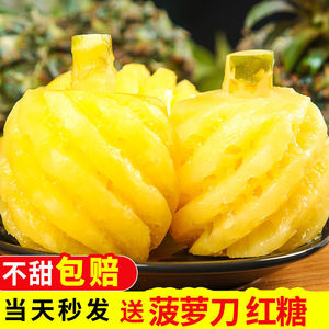 菠萝蜜一整个40斤云南香水菠萝大菠萝新鲜水果当季现摘小菠萝
