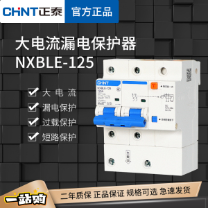 正泰 NXBLE-125漏电保护器 家用总闸漏保总开2P大电流空开80A100A