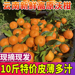 【带箱10斤特价35.9】云南大理宾川沃柑新鲜应季孕妇水果橘子桔子