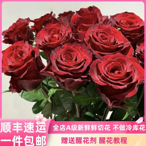 A级传奇玫瑰红丝绒质感轻奢高级红玫瑰鲜花花束斗南花市基地直发