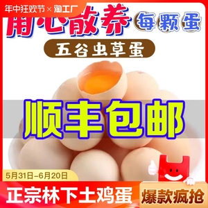 【顺丰上门】正宗土鸡蛋农家林下散养农村自养新鲜鸡蛋30-50枚