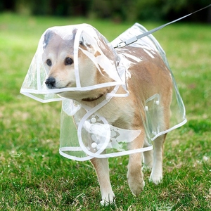 小狗狗雨衣泰迪专用中型小型犬柴犬透明雨披防水柯基宠物衣服雨天