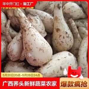 广西荞头新鲜蔬菜农家自种藠头茭头薤白5斤批发包邮可腌制现挖