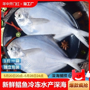 【GC】新鲜银鲳鱼冷冻海鲜水产鲜活海鱼小鲳鱼白鲳鱼银昌鱼鲳鳊鱼