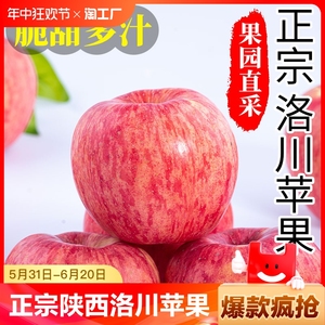 正宗陕西延安洛川苹果红富士水果新鲜当季整箱脆甜果平果包邮甄选