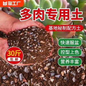 多肉专用颗粒土多肉植物营养土盆栽铺面石叶插纯颗粒种植通用土壤