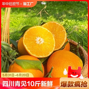 四川青见果冻橙9斤吸的橙子新鲜当季孕妇水果桔子整箱特价大果