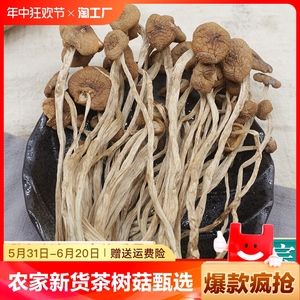 农家茶树菇干货新鲜茶薪菇特级香菇蘑菇甄选不开伞切根干菌菇