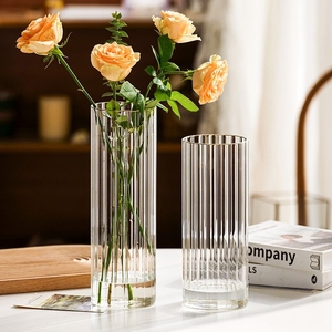 简约创意透明花瓶客厅餐桌玄关摆件插花器氧气玻璃台面