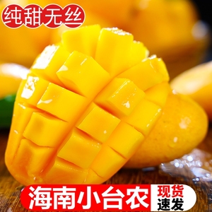 新鲜海南台农10斤鸡蛋芒果当季水果核小大台芒3斤包邮大果果味