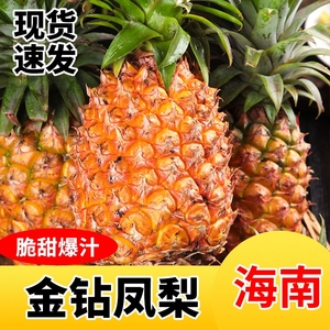 海南金钻凤梨新鲜水果应季10斤香水菠萝手撕芒果风梨特产大果无眼