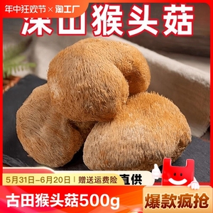 古田深山猴头菇干货煲汤猴菇头非新鲜500g菌菇袋装批发直销养胃