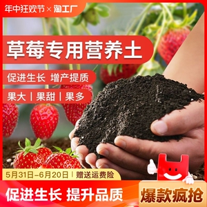 草莓专用营养土瓜通用土壤盆栽种植土阳台有机土肥料种菜扦插疏松
