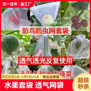 水果套袋果实网袋番茄葡萄无花果草莓防虫防鸟保护袋透气网套小型