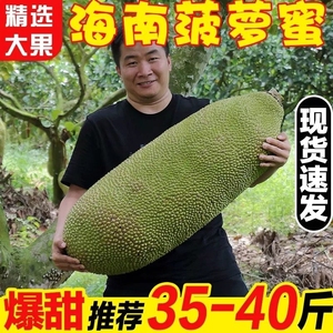 海南三亚黄肉菠萝蜜当季特产新鲜水果40斤一整个木波罗蜜包邮红