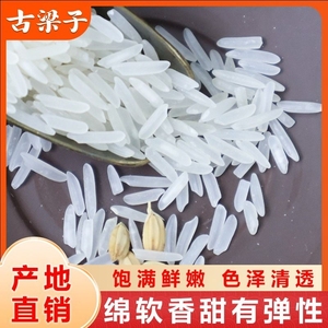 古梁子10斤香米长粒香米当季新米大米包邮t一级米饭袋装象牙米