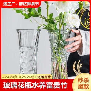 特大号玻璃花瓶透明水养富贵竹客厅家用插花瓶摆件卧室家居玄关