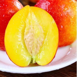山东头茬黄心油桃当季脆桃时令新鲜水果应季桃子现摘整箱黄肉孕妇