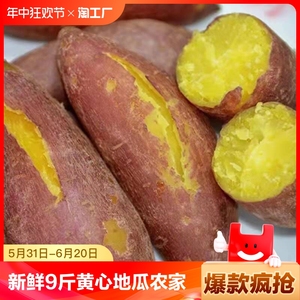 陕西板栗红薯新鲜红蜜薯紫薯沙地地瓜批发超甜糖心红薯3/5/9斤
