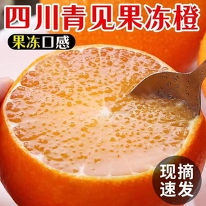 低价四川青见手剥果冻橙丑橘当季应季鲜果精品大果整箱橙子果园