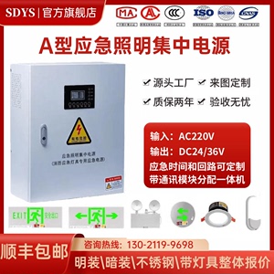 A型应急照明集中电源 EPS配电箱 DC24V/36V应急照明灯具控制主机