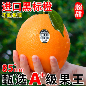 顺丰正宗黑标橙10斤新鲜橙子5当季孕妇水果进口大果3107橙包邮9