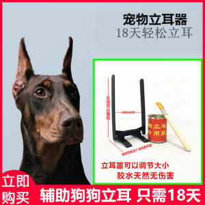 杜宾犬德国 杜宾犬德国品牌 价格 阿里巴巴