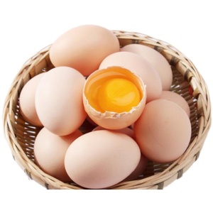 农家土鸡蛋新鲜生吃20枚无菌优质鸡蛋月子蛋农村散养现捡虫草鸡蛋